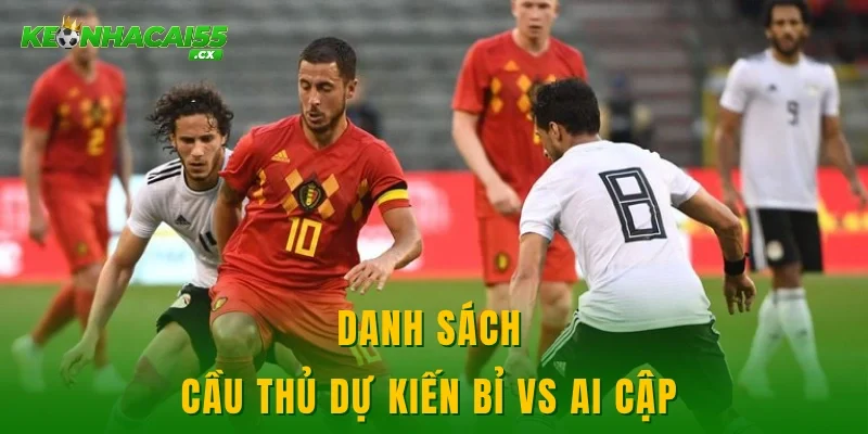Danh sách cầu thủ dự kiến Bỉ vs Ai Cập 