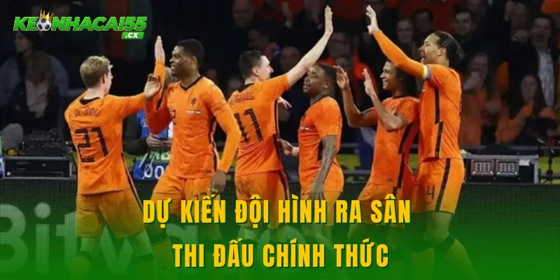 Dự kiến đội hình ra sân thi đấu chính thức