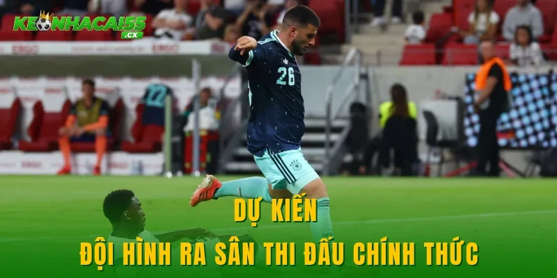 Dự kiến đội hình ra sân thi đấu chính thức